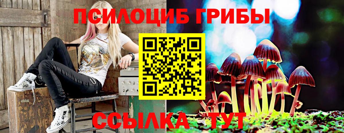 Михайловск  Псилоцибиновые грибы GOLDEN TEACHER  Вход с VPN 