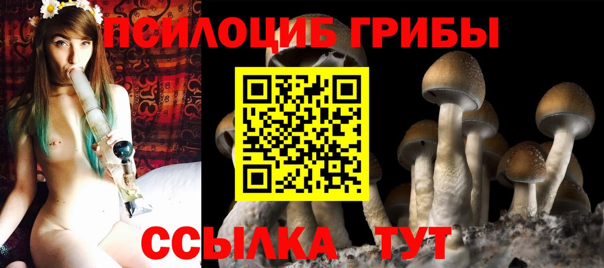 Псилоцибиновые грибы Magic Shrooms Михайловск